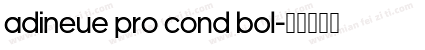 adineue PRO Cond Bol字体转换